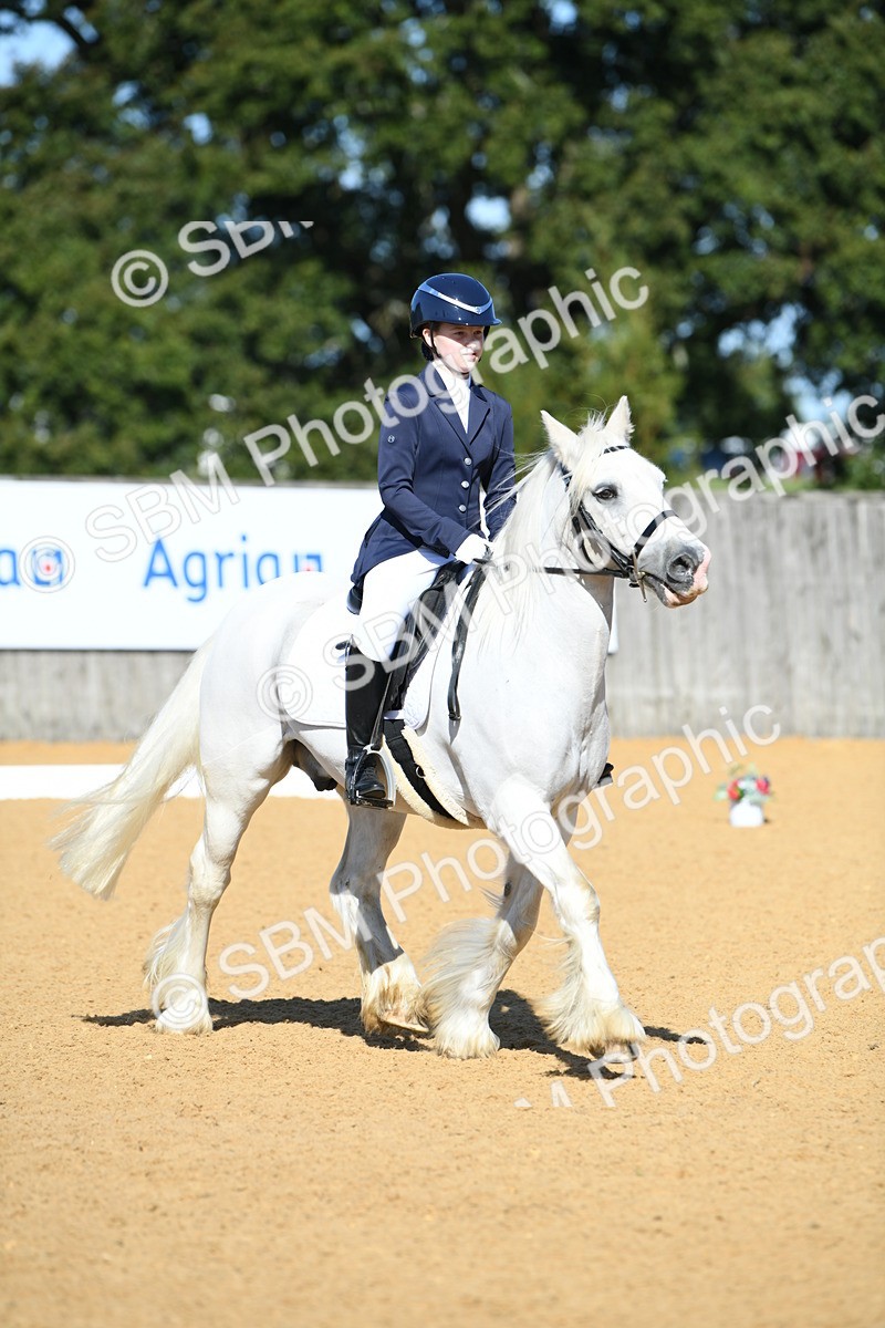SBM_18094 - D4 - Small Tour Championship - Intro B