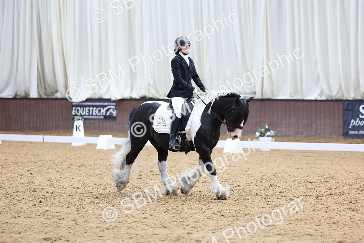 SBM_015982 - Class 15 - Novice FSM - 9.50 - 11.10