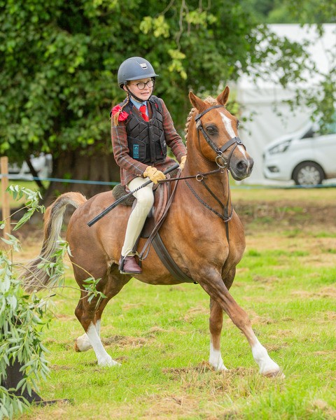 Dunblane show-36 - Dunblane and Doune Show Ring 1