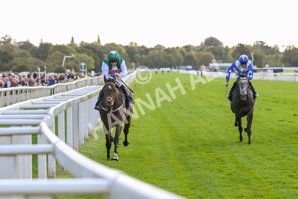111024-Race 3-Minstrel Knight-1651 - Race 3 2.40pm William Hill Finale Handicap