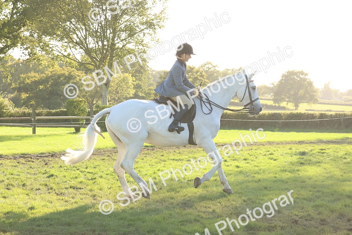 SBM_53001 - S29 - Mature Veteran Ridden