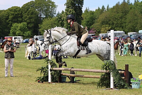 IMG_3113 - Working Hunter