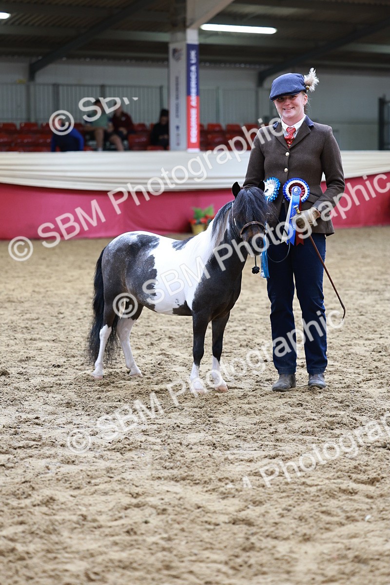 SBM_15756 - Class 110 - IH  Minature Horse