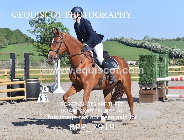 BPP_7919 - CLASS 1 - CLEAR ROUNDS