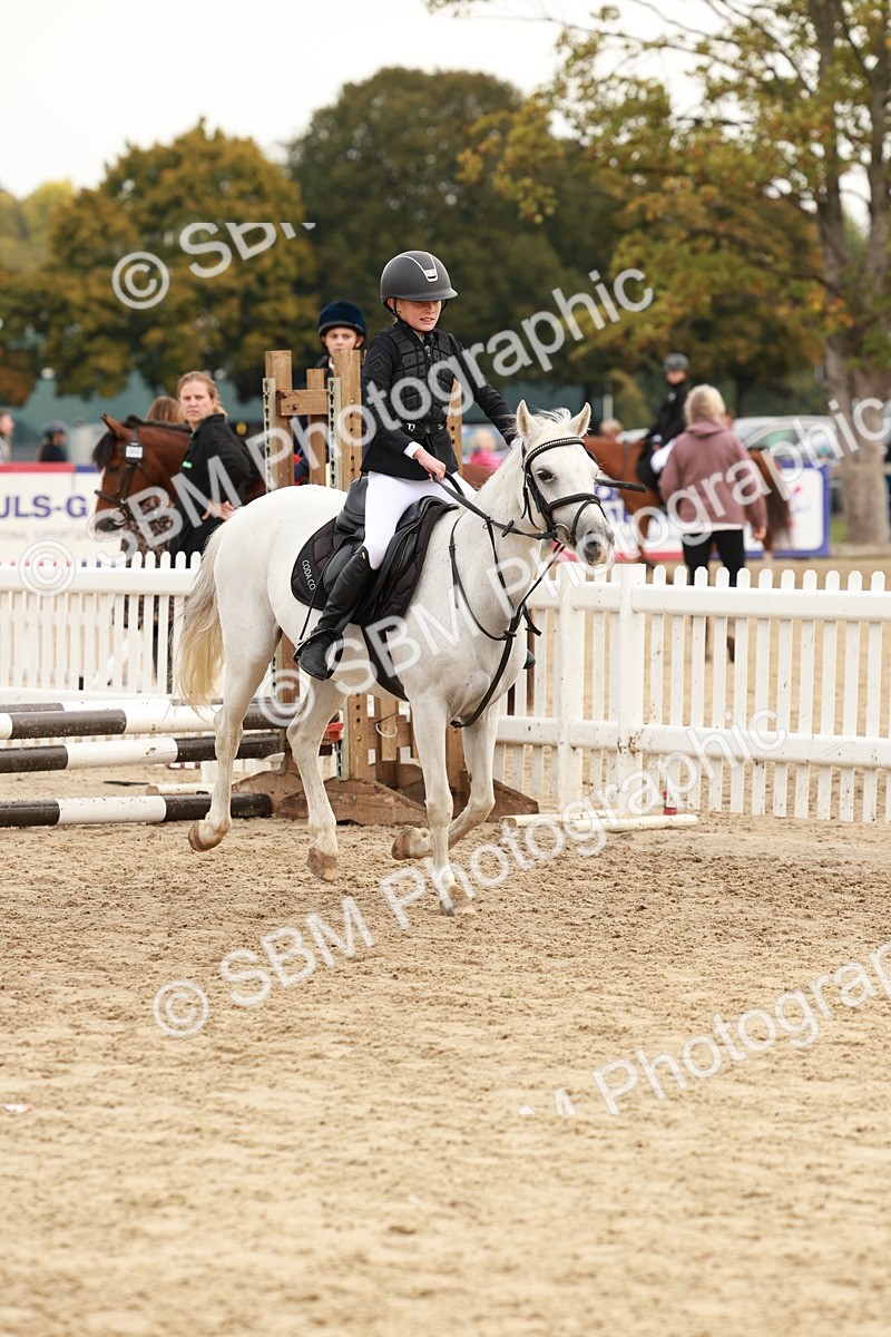 SBM_57632 - J11 - Junior Pony 50cm Championship