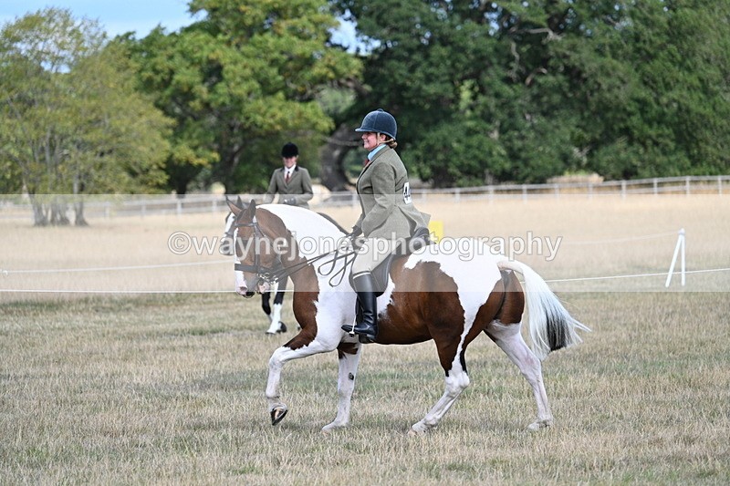 WJ7_7261 - Class 14 Ridden Coloured