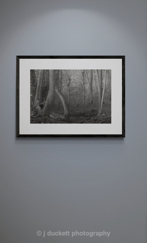  - Deep Dark Woods