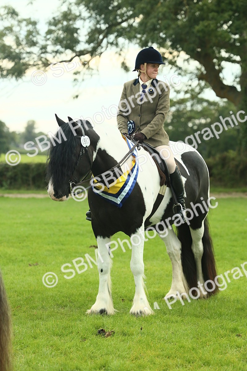 SBM_75252 - Super Supreme Championship