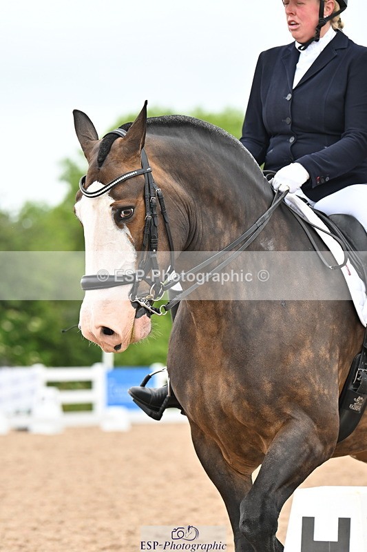 240623A-151650-19541 - Cls 51 BD Elementary 53