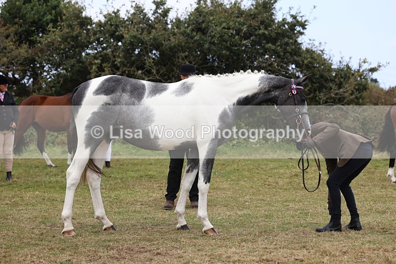 3E7A4159 - Class 15: Two Year Olds