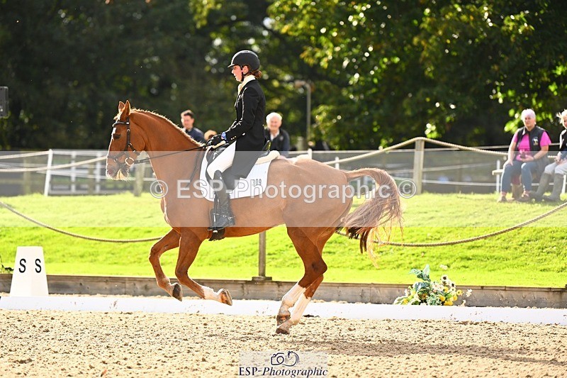 231020-144225-10026 - 309-CROSSTOWN.FINTANS.LAST-Catherine.Burrell-DR