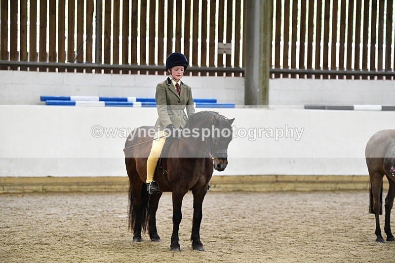 WJ5_7055 - Class 10 Childs Pony