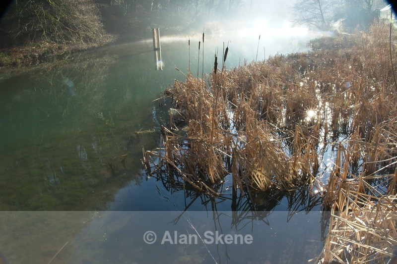 DSC02320 - Gloucestershire
