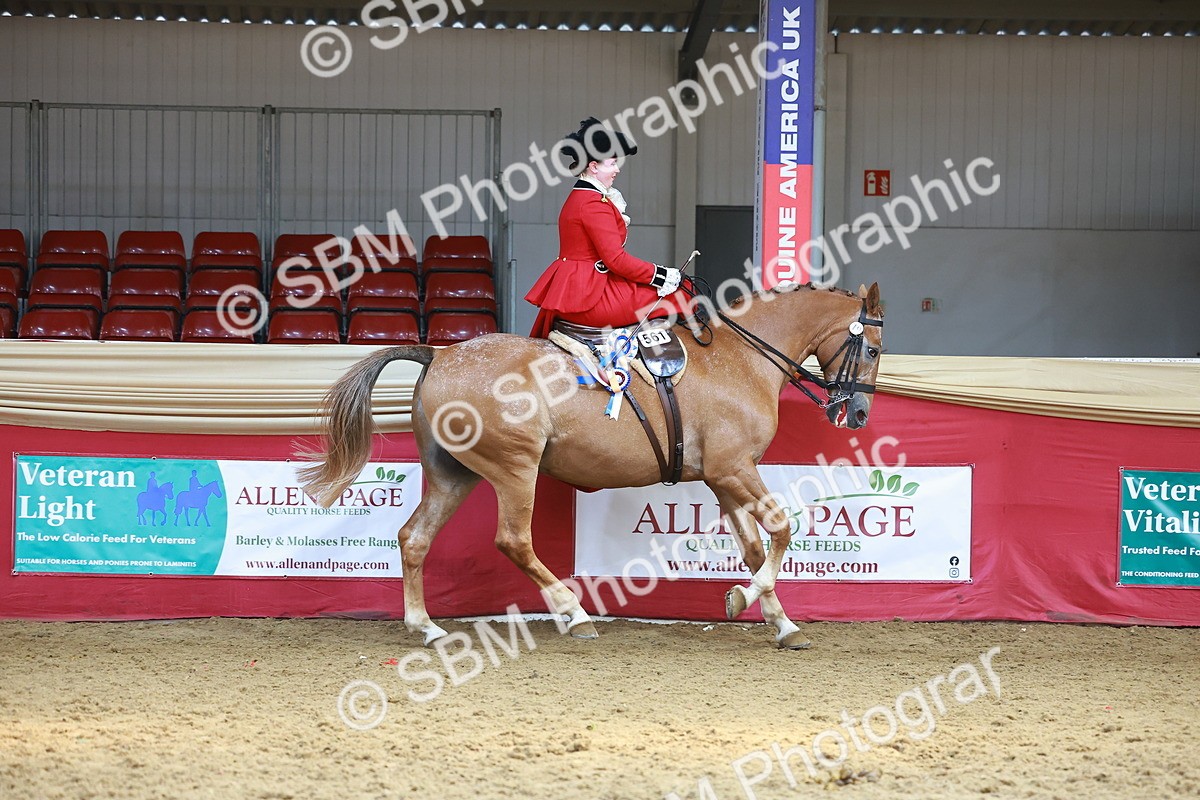 SBM_13926 - Class 106 - Ridden Costume - Side Saddle