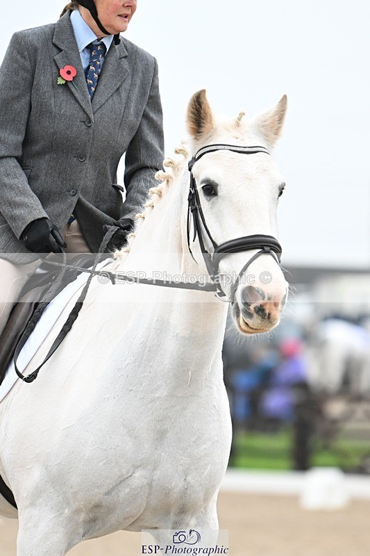 241103-103038-00350 - Intro 3 - 9.40 to 10.40