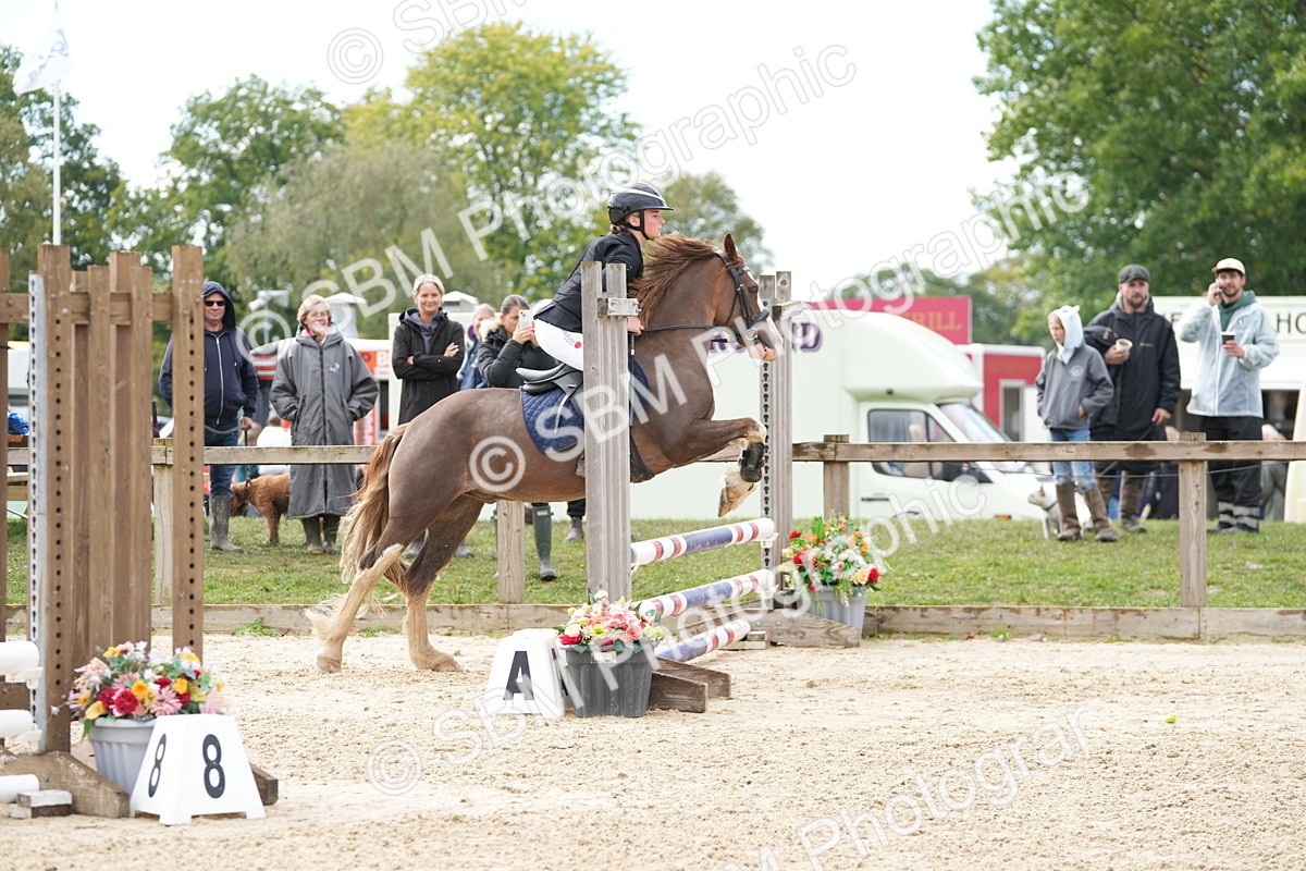 SBM_43529 - J7 - Junior Pony 60cm Championship