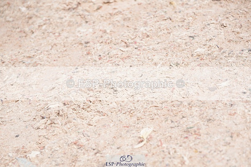 250511-104800-13345 - Cls 31 Snr Discovery and 1m Open