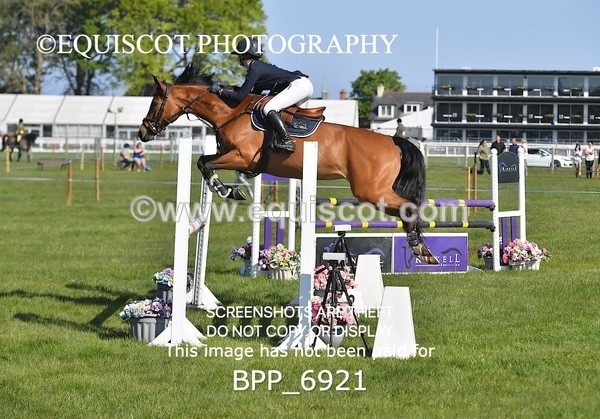 BPP_6921 - CLASS 1 Senior Newcomers/ 1.10m Open