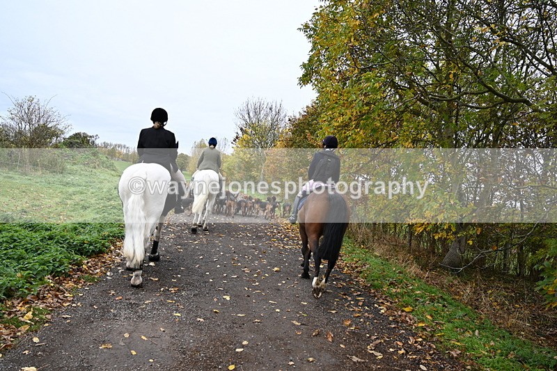 WJ6_9243 - Ride