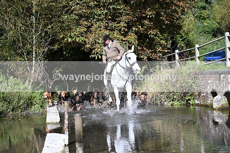 WJ7_5927 - Hounds Water Crossing