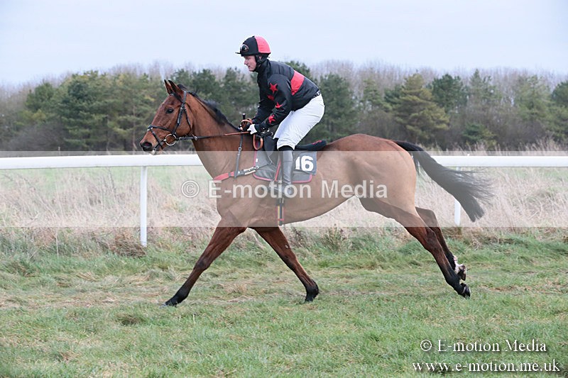 PtP 060119 188 - Larkhill Racing Club - Point-to-Point- 06/01/2019