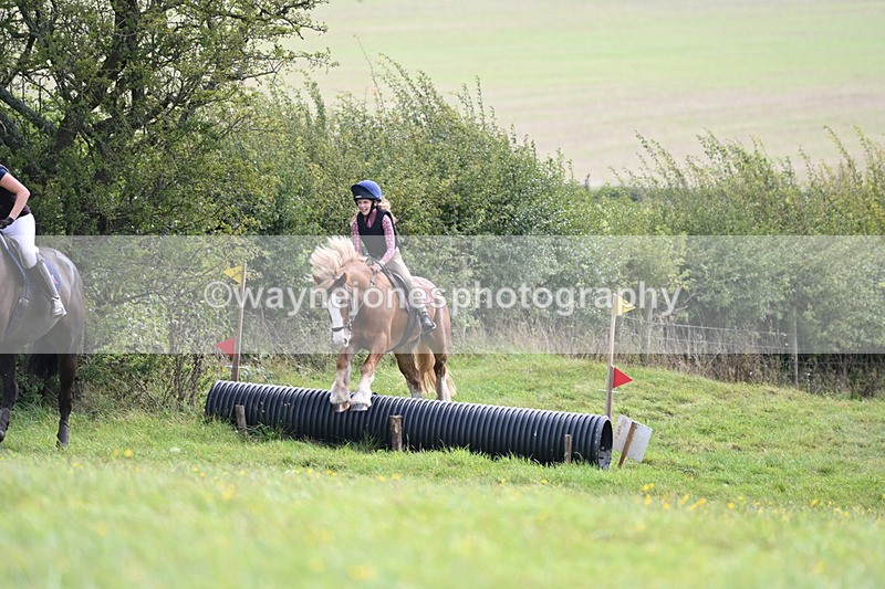 WJ6_8267 - Time 12:18 to 12:59