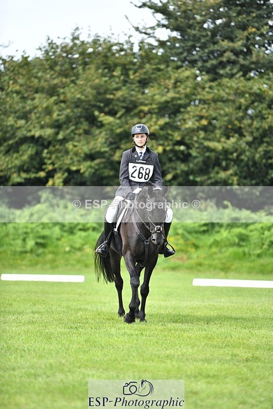 230826-110236-15705 - Sections C & D 10 to End