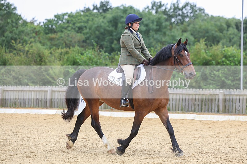 3E7A5182 - Class 2: Intro 4 2024 section B