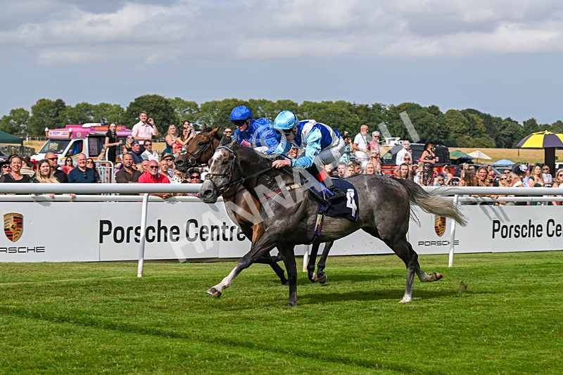 140824-Race 5-Havana Blue-6692 - Race 5