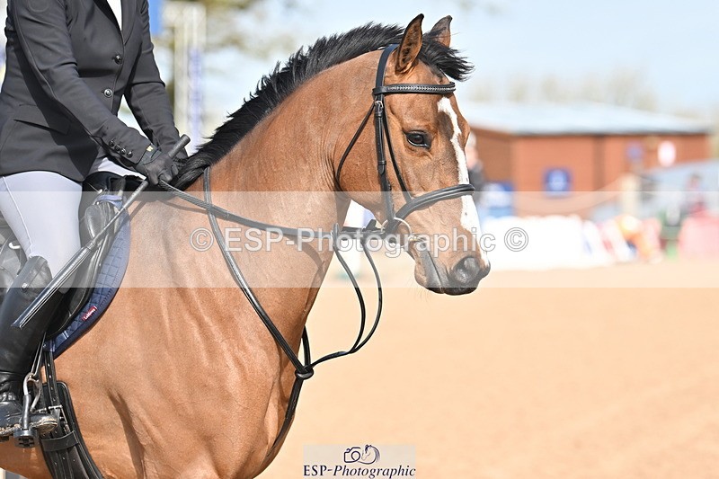 240406A-105505-02690 - Cls 14 Newcomers