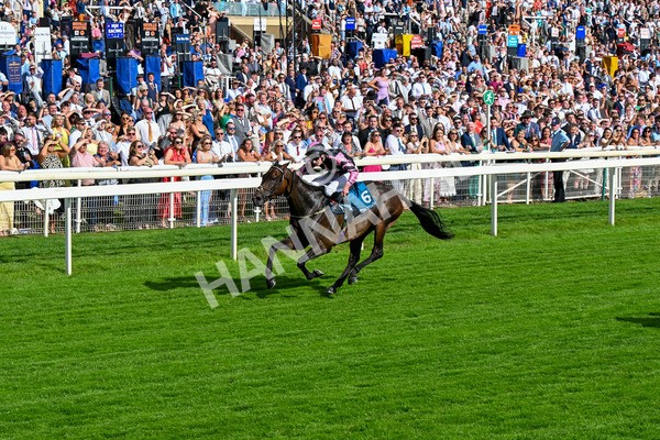280625-Race 7-Titian-0637 - Race 7 5.25pm Al Basti Equiworld Dubai Amateur Jockeys' Handicap
