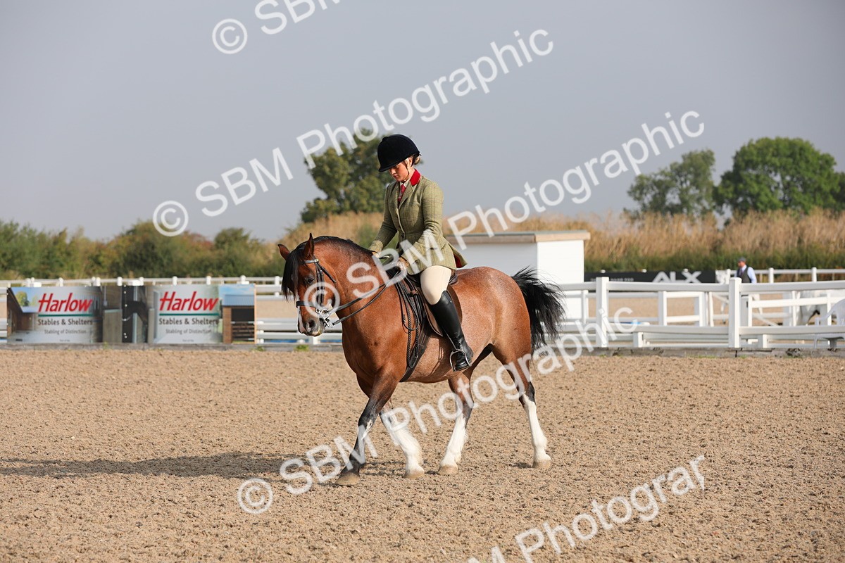 SBM_10097 - Class 302 Ridden M&M -Large Breeds