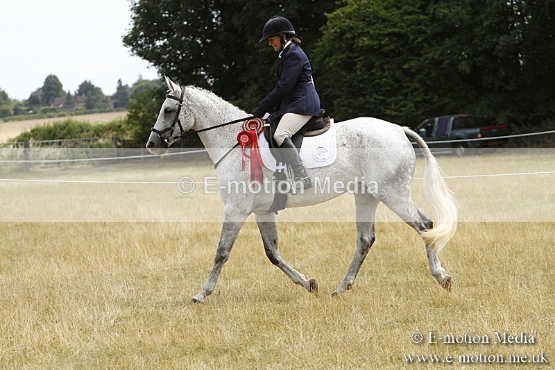 _BS_1045 - Working Hunter Championship BVRC Show 2018