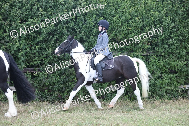 20250831-4263 - Class 20 - Ridden Coloured