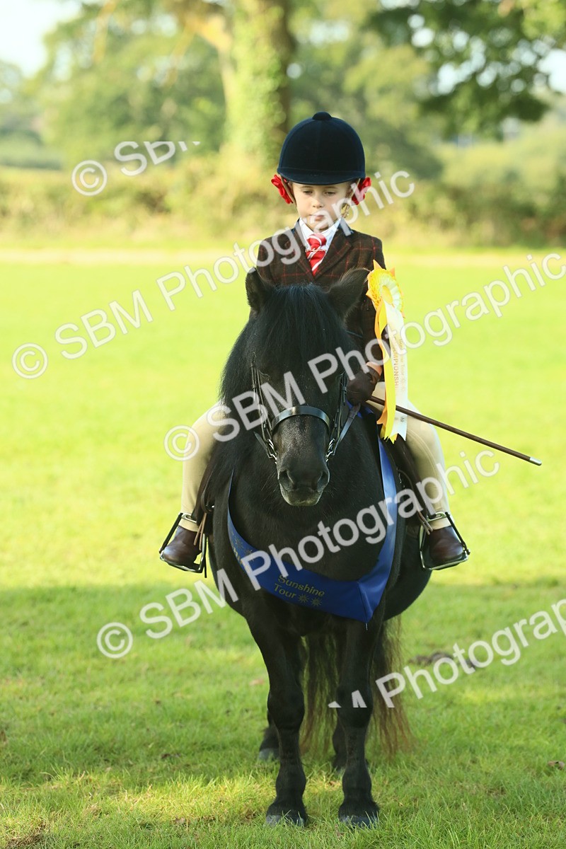 SBM_61126 - Starter Supreme Championship