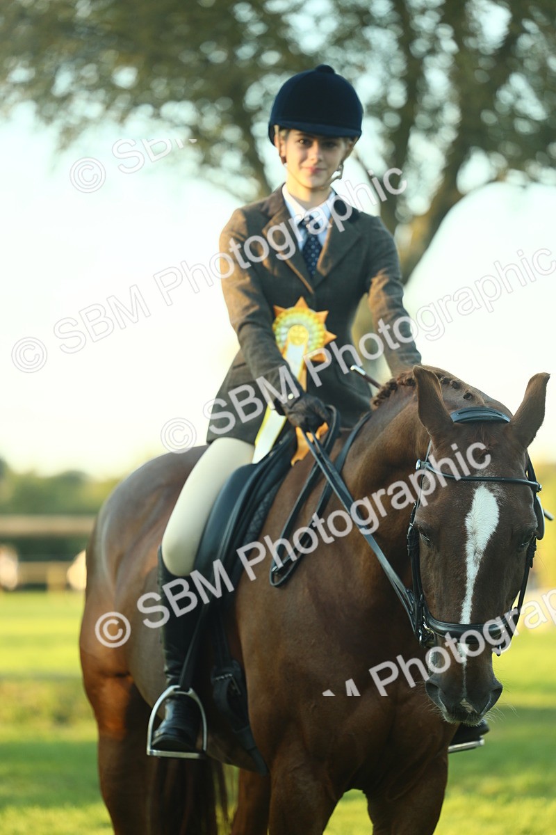 SBM_56565 - S14 - Riding Club Horse