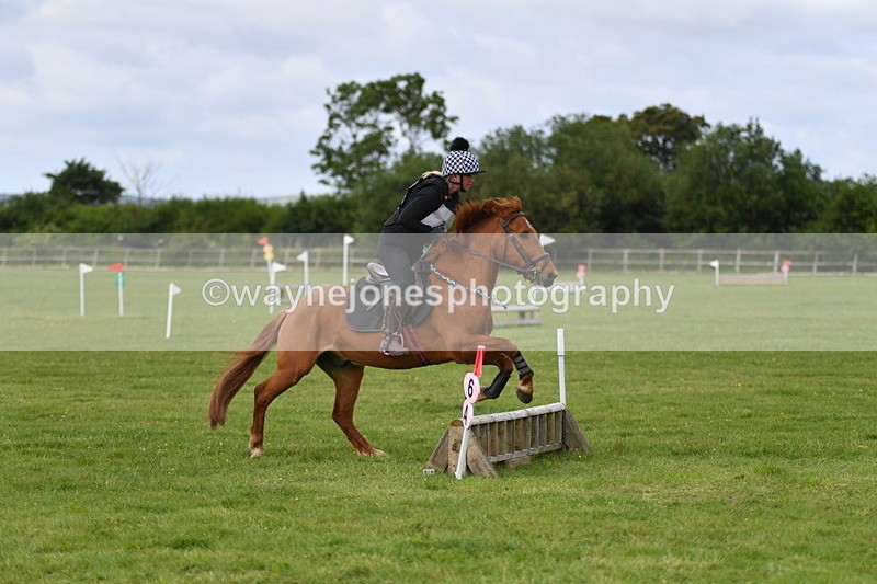 WJ5_2270 - Class 2 40cm