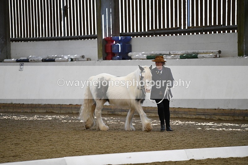 WJ5_5444 - Class 8 In hand cob