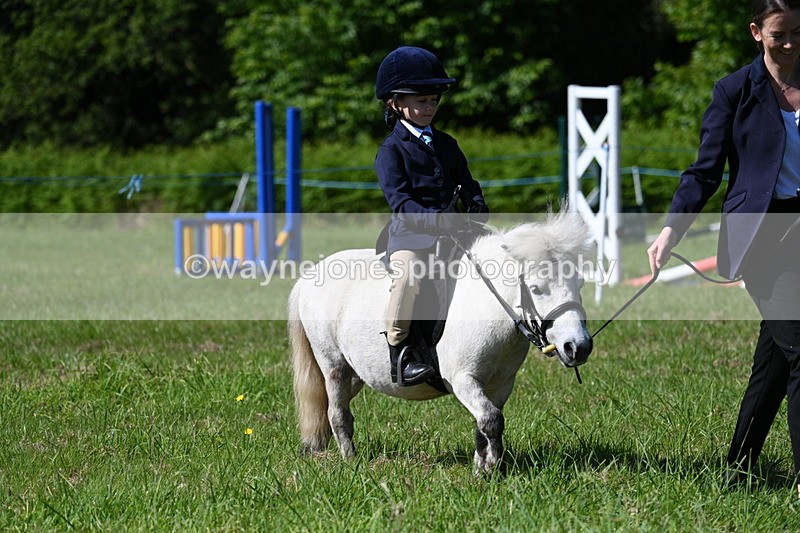 WJ7_0559 - Class 8 First Rally Pony