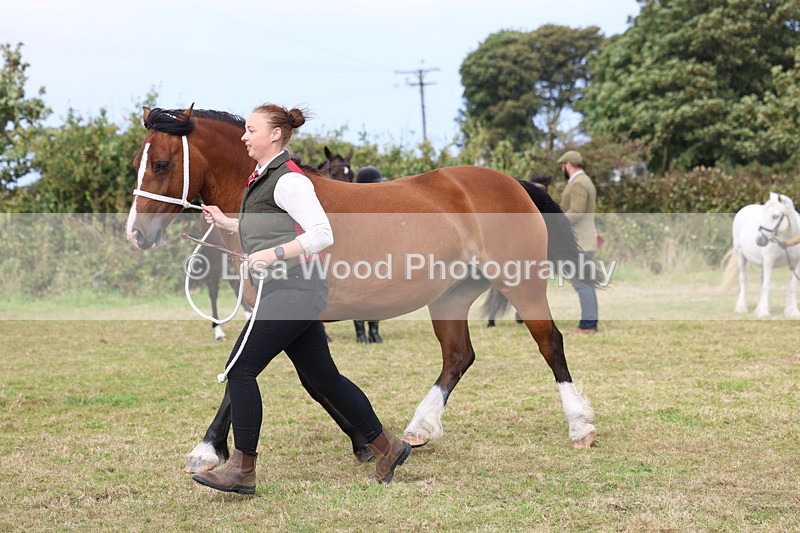 3E7A4728 - Class 16: Best Grass Kept