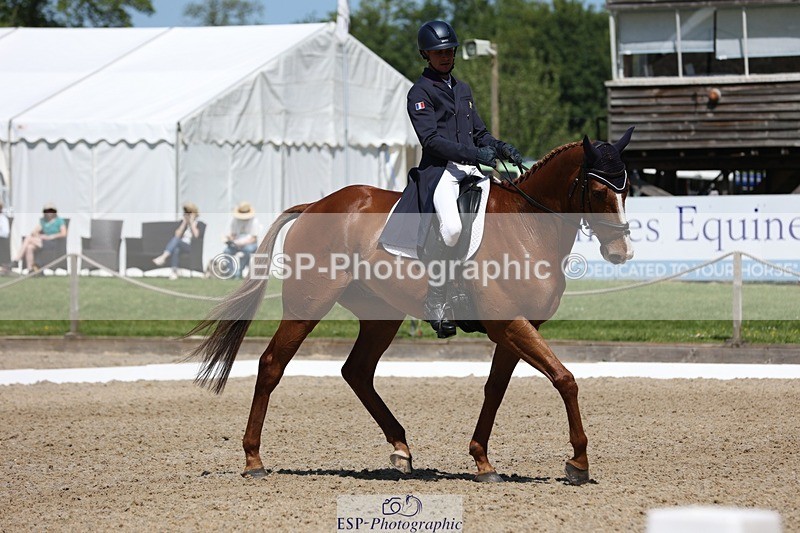 230526-114453-06103 - 156-JUST_PERFECT-Gaspard_Maksud-WEDTrotUp+DR