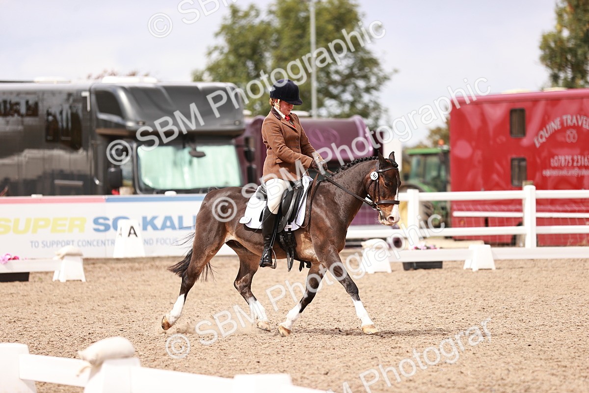 SBM_06239 - Class 37 - Novice 5