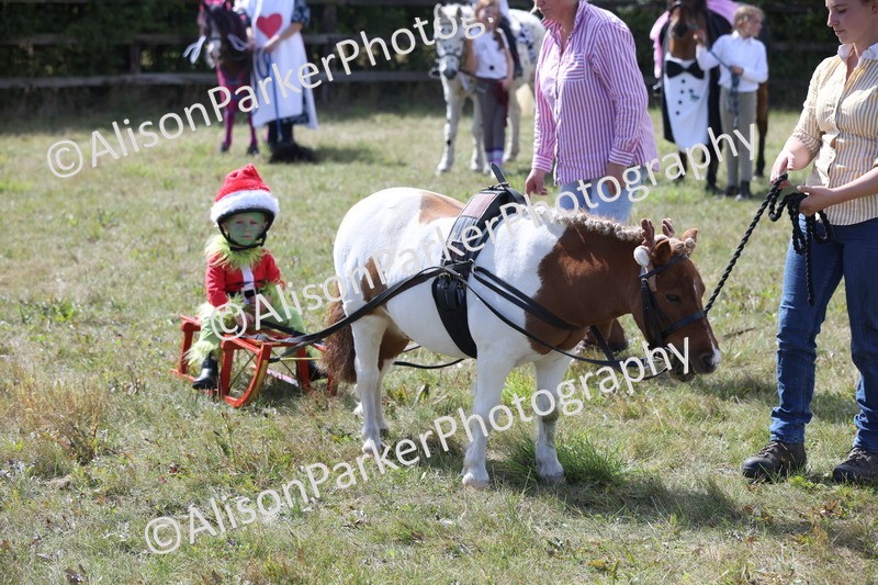 20250831-3481 - Class 26 - Fancy Dress