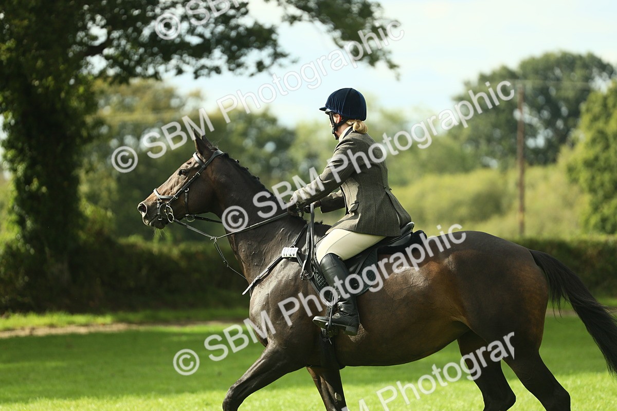 SBM_48030 - S32 - Novice & Newcomers Working Hunter