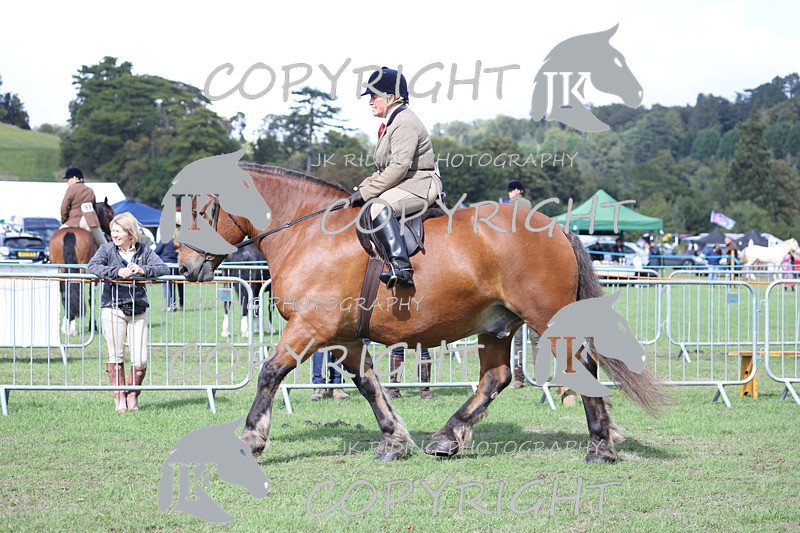 APP_3670 - Class 8 Ridden Class