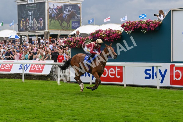 270724-Race 2-Rage Of Bamby-6821 - Race 2 2.40pm Sky Bet Dash Handicap