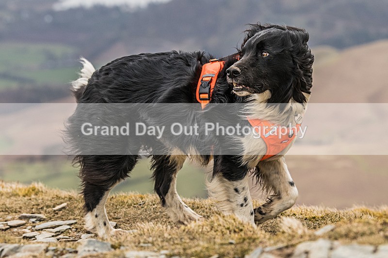 Coledale-1274 - Coledale Horseshoe Fell Race Saturday 29th March 2025