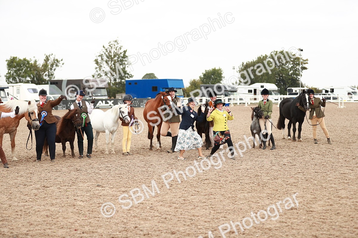 SBM_11940 - Class 206 IH Non Show Type Pony