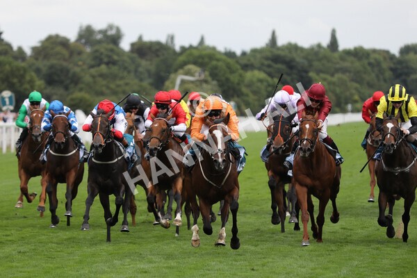 yr17082022r7-17 - Race 7 5.20pm Sky Bet Nursery Handicap