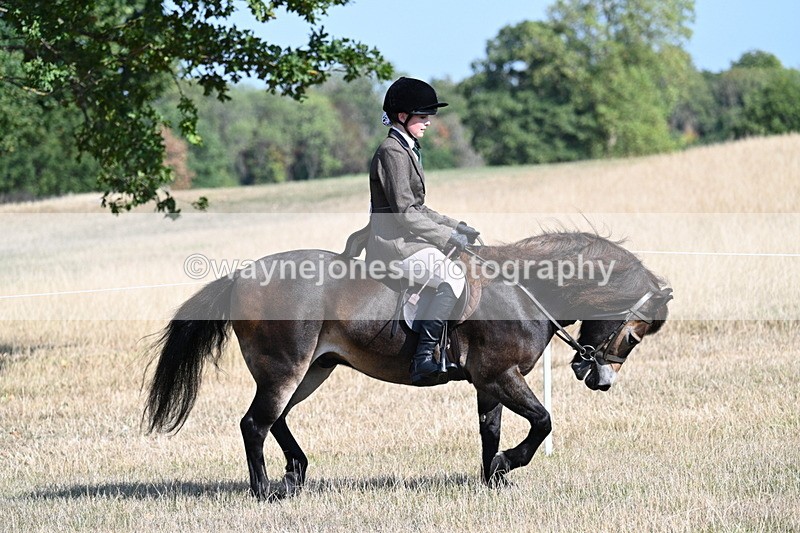 WJ7_2913 - Class 8 Ridden Tack & Turnout